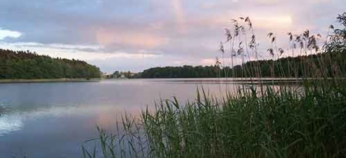 Jezioro Chojno